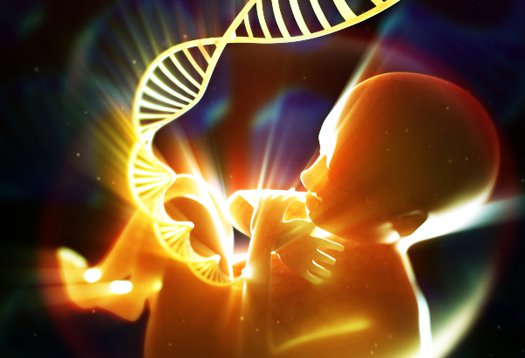 thai nhi và di truyền